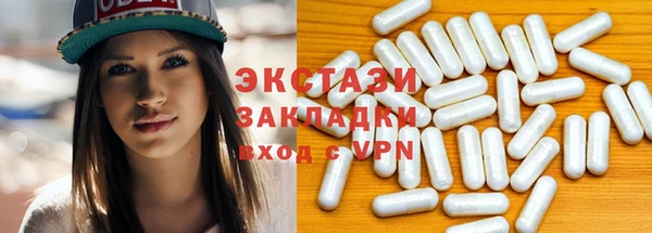 индика Волоколамск