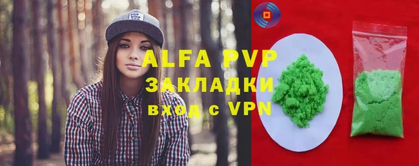 индика Волоколамск