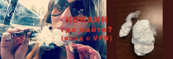 индика Волоколамск
