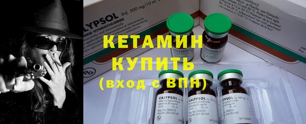индика Волоколамск