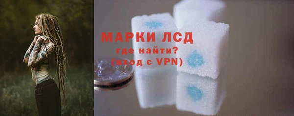 индика Волоколамск