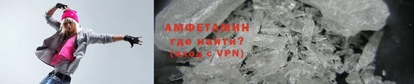 индика Волоколамск