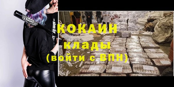 индика Волоколамск