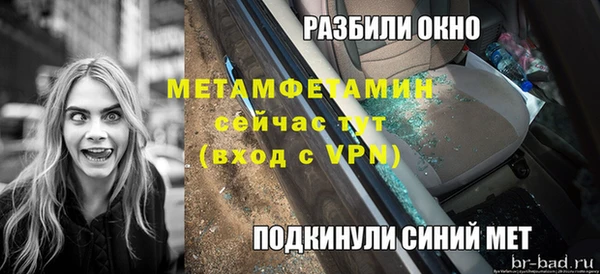 индика Волоколамск