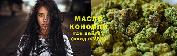 индика Волоколамск